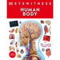 Eyewitness Human Body