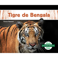 Tigre de Bengala (Bengal Tiger) - Library Binding