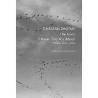 The Town I Never Told You about: Poems, 2022-2024 - Paperback