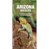 Arizona Wildlife: A Folding Pocket Guide to Familiar Animals