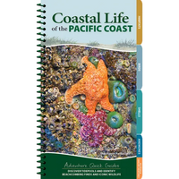 Coastal Life of the Pacific Coast: Discover Tidepools and Identify Beachcombing Finds and Iconic Wildlife - Spiral