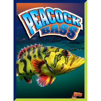 Peacock Bass - Hardcover