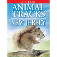 Animal Tracks of New Jersey - Paperback