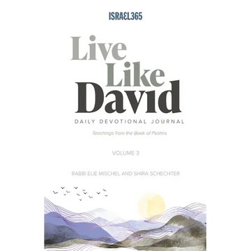 Live Like David - Volume 3 - Paperback