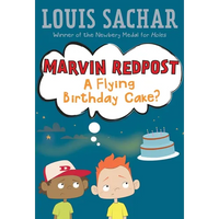 A Flying Birthday Cake - Paperback