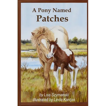 A Pony Named Patches - Paperback