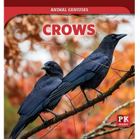 Crows - Library Binding
