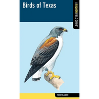 Birds of Texas - Paperback