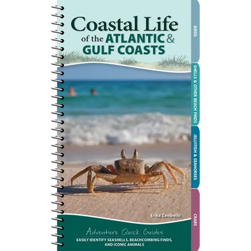 Coastal Life of the Atlantic and Gulf Coasts: Easily Identify Seashells, Beachcombing Finds, and Iconic Animals - Spiral
