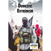 Domestic Extremism - Paperback