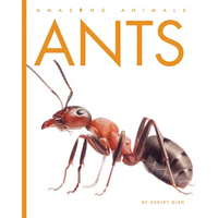 Ants - Paperback