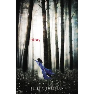 Stray - Paperback