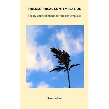 Philosophical Contemplation: Theory and techniques for the contemplator - Paperback