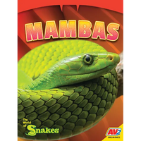 Mambas - Paperback