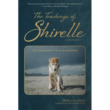 The Teachings of Shirelle: Life Lessons from a Divine Knucklehead - Paperback