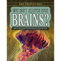 Why Don't Jellyfish Have Brains?: And Other Odd Invertebrate Adaptations - Library Binding