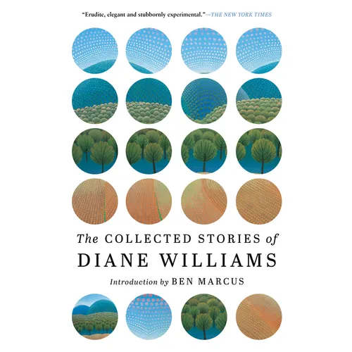 The Collected Stories of Diane Williams