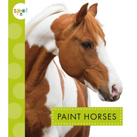 Paint Horses - Paperback