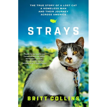 Strays: The True Story of a Lost Cat, a Homeless Man, and Their Journey Across America - Paperback