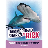 Hammerhead Sharks at Risk: Saving These Unusual Predators - Paperback