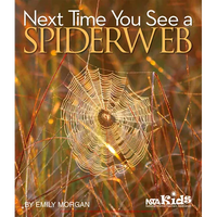 Next Time You See a Spiderweb - Paperback