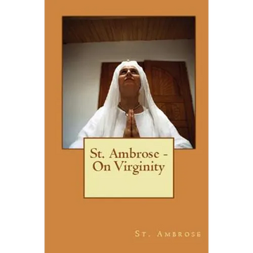 On Virginity - Paperback