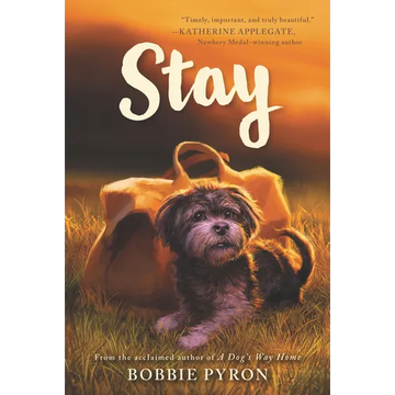 Stay - Paperback