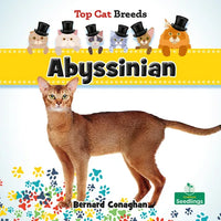Abyssinian - Paperback