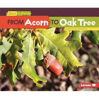 From Acorn to Oak Tree - Paperback
