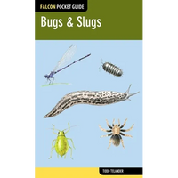 Bugs & Slugs - Paperback