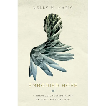 Embodied Hope: A Theological Meditation on Pain and Suffering - Paperback