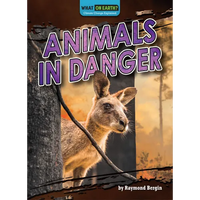 Animals in Danger - Paperback
