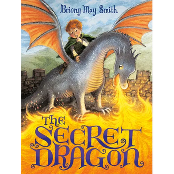 The Secret Dragon - Hardcover