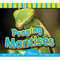Praying Mantises - Library Binding