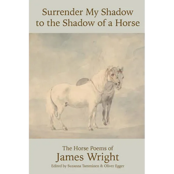 Surrender My Shadow to the Shadow of a Horse - Paperback