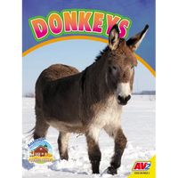 Donkeys - Library Binding