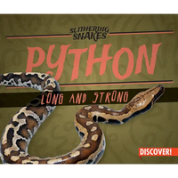Python: Long and Strong - Library Binding