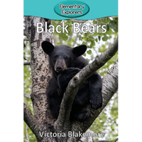 Black Bears - Paperback