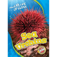 Sea Urchins - Library Binding