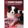 Flash (the Puppy Place #6): Volume 6