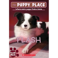 Flash (the Puppy Place #6): Volume 6 - Paperback