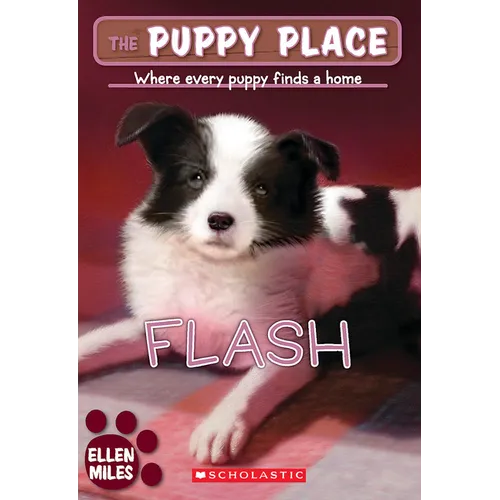 Flash (the Puppy Place #6): Volume 6
