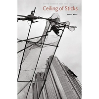 Ceiling of Sticks - Paperback