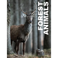 Forest Animals - Hardcover