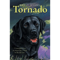 Tornado - Paperback