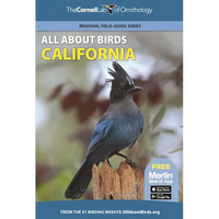 All about Birds California - Paperback