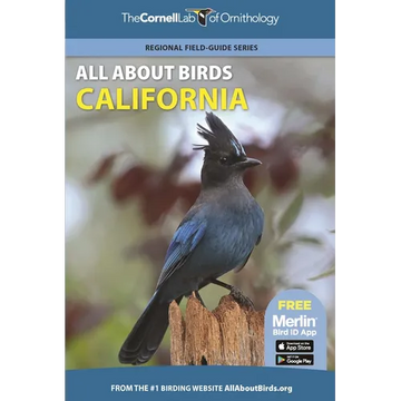 All about Birds California - Paperback