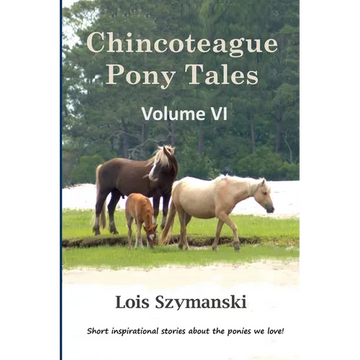 Chincoteague Pony Tales: Volume VI - Paperback