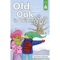 Old Oak in Winter - Paperback