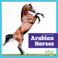 Arabian Horses - Library Binding